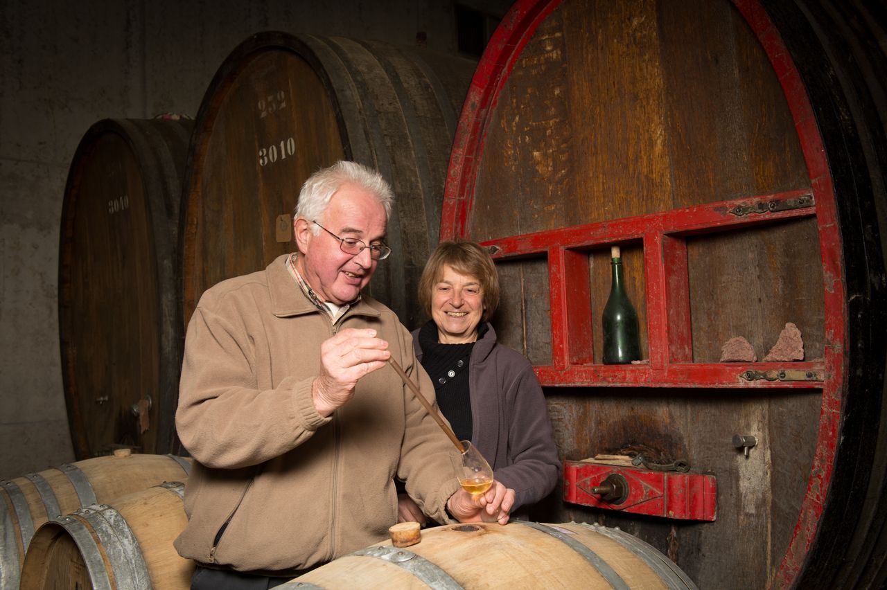 Vins Vigneron Luc et Sylvie BOILLEY – FREMIOT BoilleyFremiot-0001